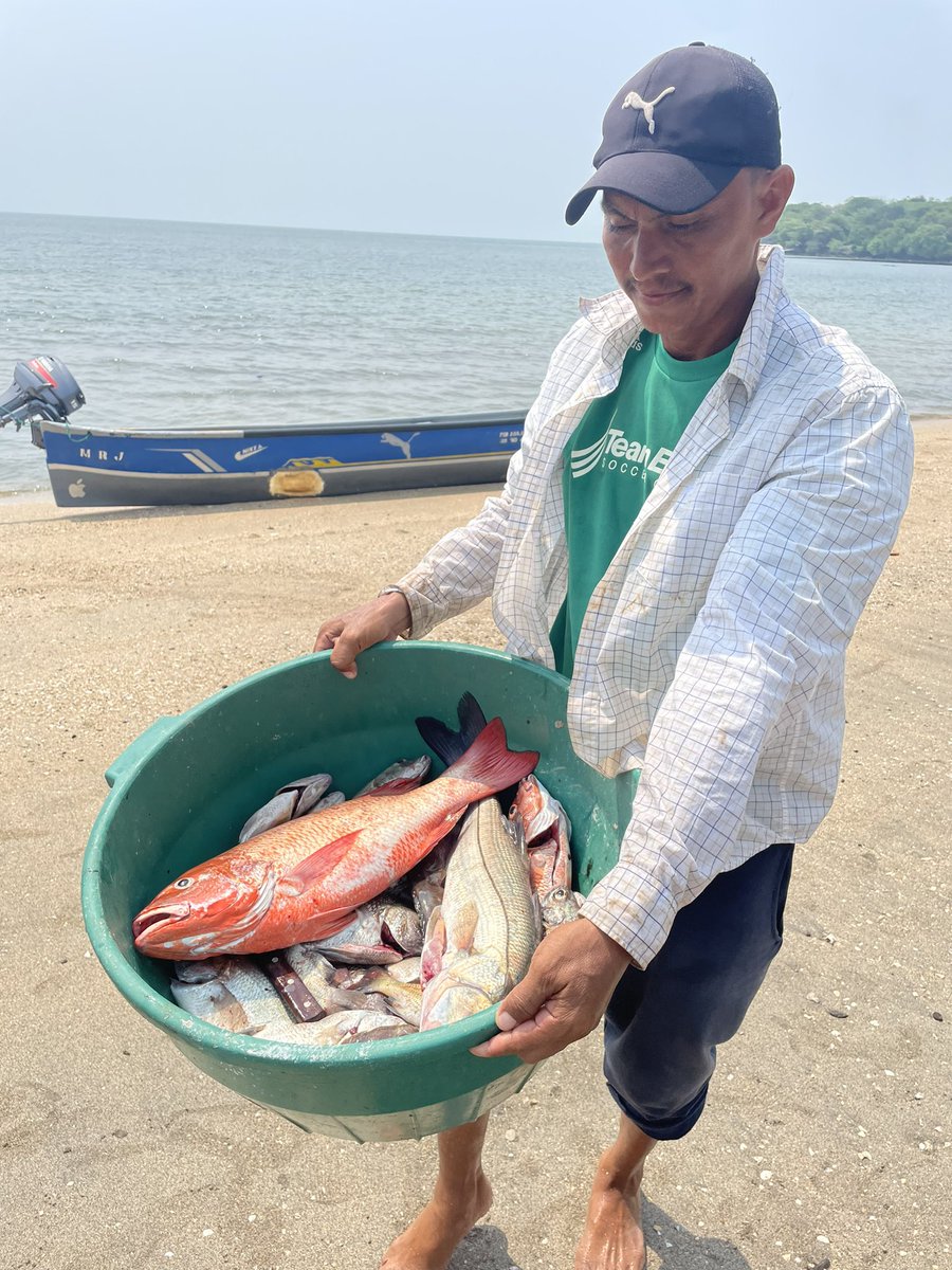 Gabinete ambiental acompañando proyectos comunitarios para la pesca artesanal y seguridad alimentaria en la zona sur (siembra de domos).  🐠🐡
Este tipo de proyectos podrán ser impulsados como un sector prioritario por La #LeyDeJusticiaTributaria.