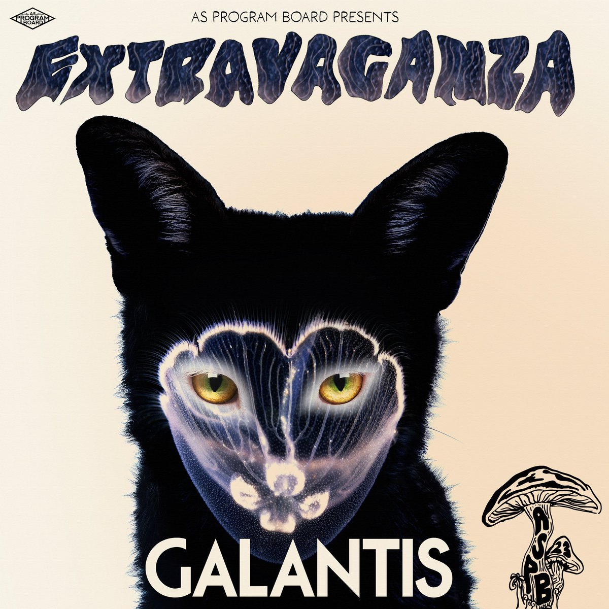 AS PROGRAM BOARD tweet media