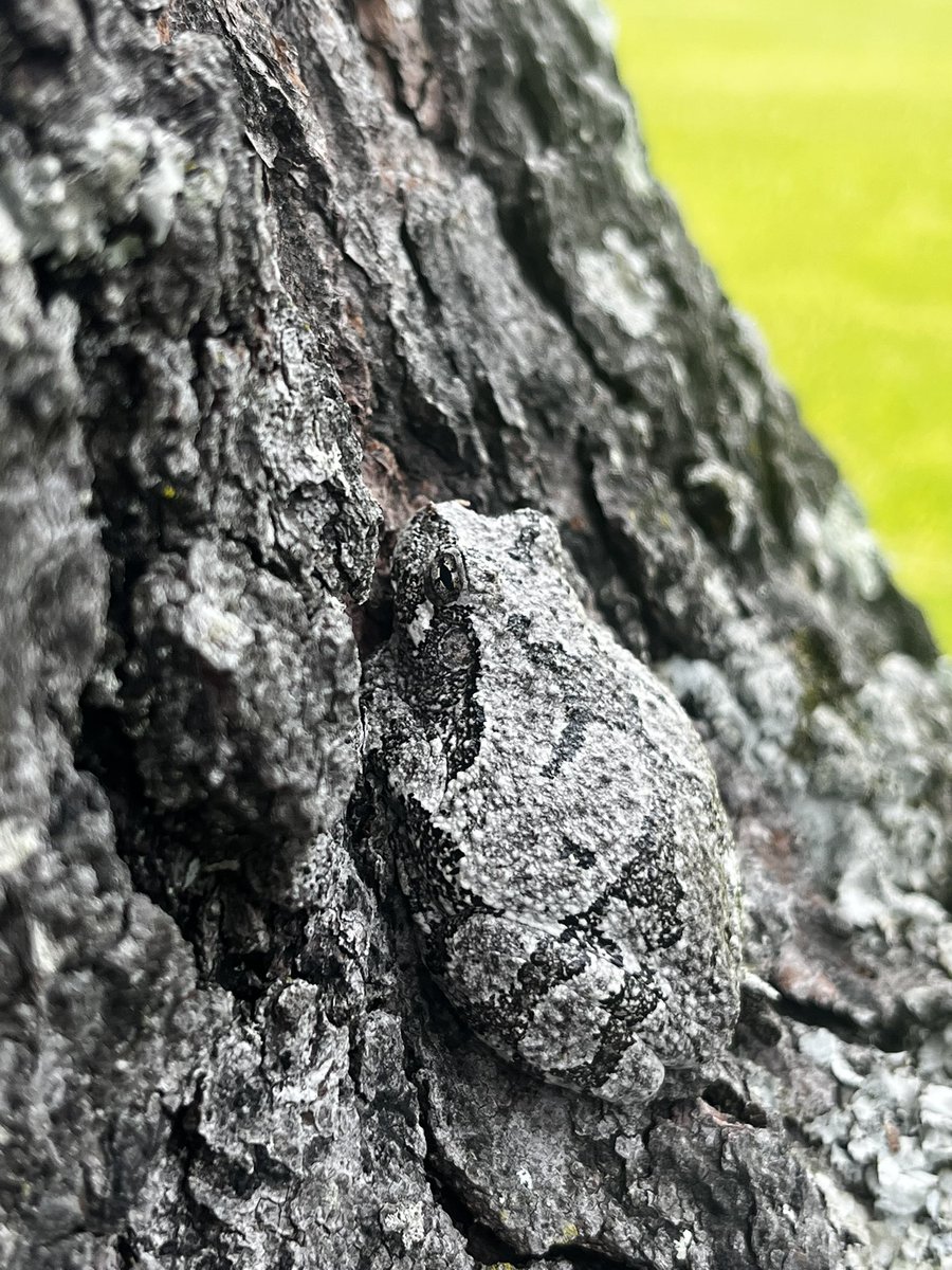 Ms. Rucando tweet media