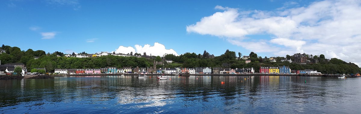 Will_Cottage's tweet photo. Tobermory in the sun this morning looking very colourful - we even had a pod of dolphins in the bay! #mull #argyll #scotland https://t.co/XQfpuB2VQR