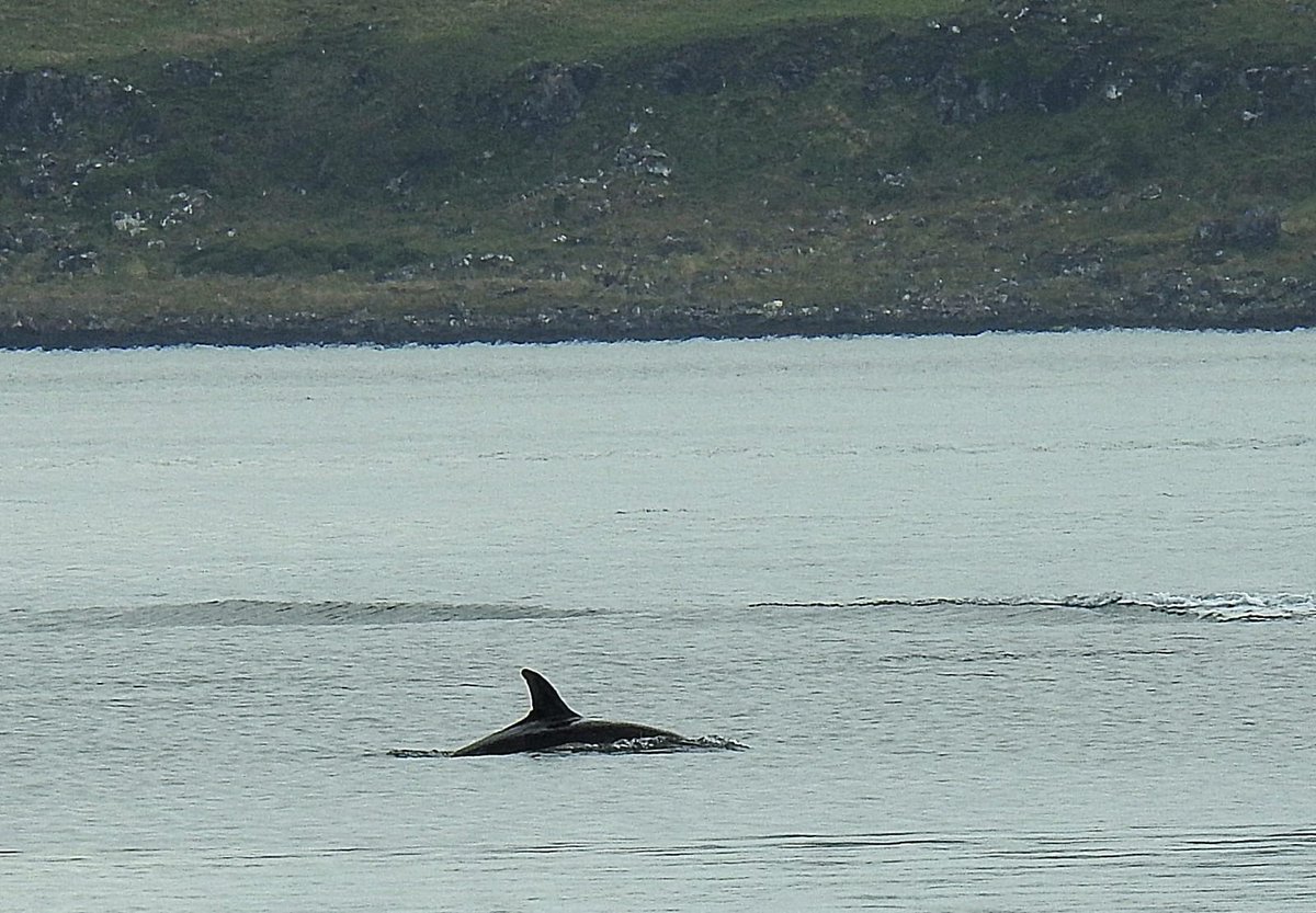 Tobermory in the sun this morning looking very colourful - we even had a pod of dolphins in the bay! #mull #argyll #scotland