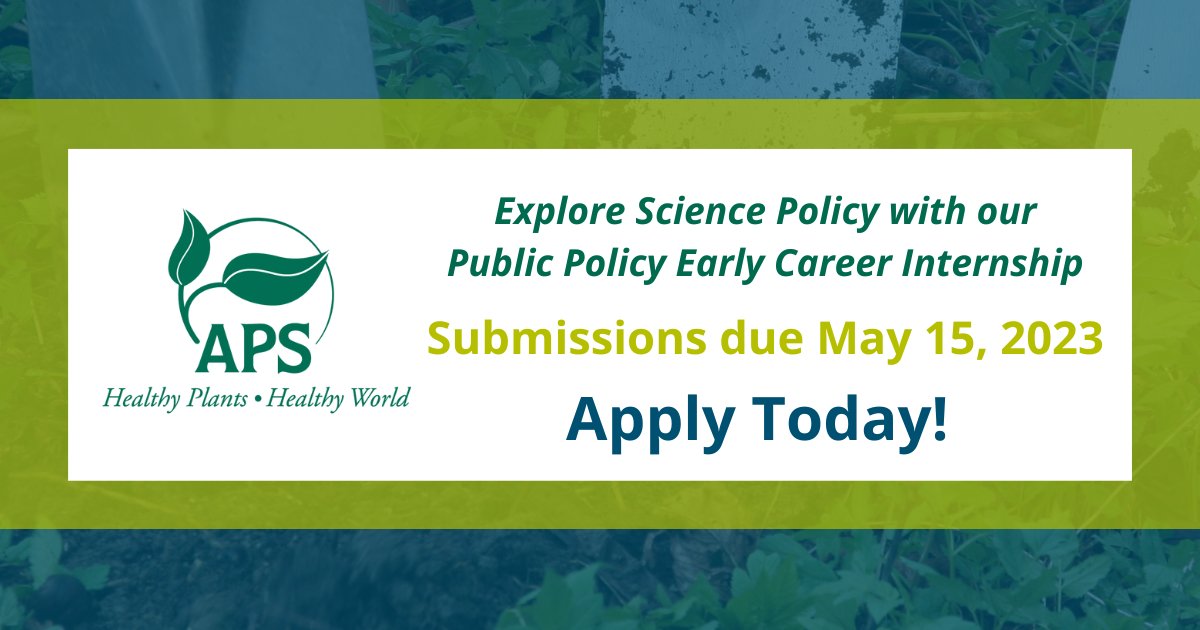 Become an advocate for public policy that moves plant pathology forward. Apply for our Public Policy Early Career Internship to join Public Policy Board activities from August 2023 to August 2025. Hurry — applications close Monday, May 15! bit.ly/3o04ewd