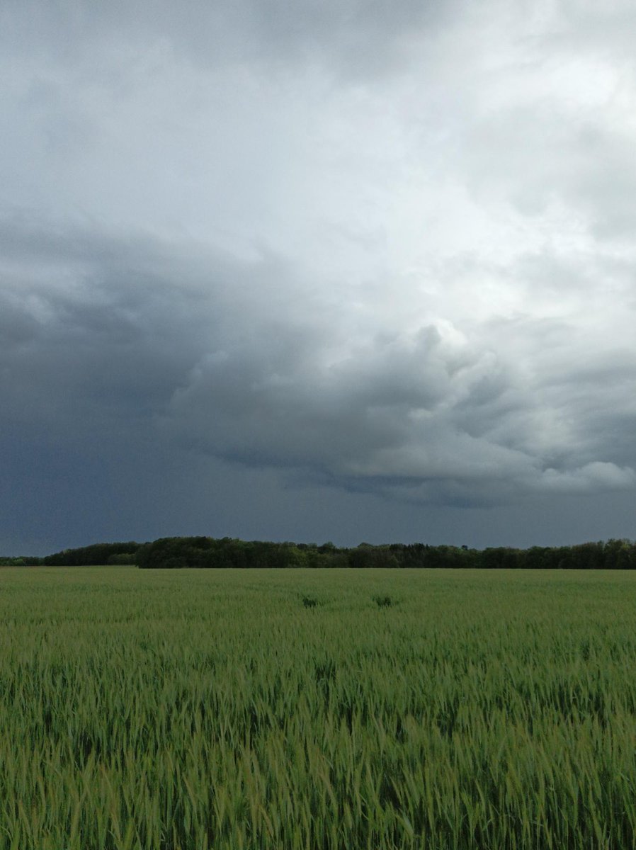 MeteoFrance_O's tweet photo. 🧐Vos #obsparticipatives sur l'appli. 📲illustrent l'instabilité de l'atmosphère:
➡️Ciel chaotique, ex. dans l'Indre-et-Loire (37),
📷 Civray de Touraine et Lussault-sur-Loire
➡️orages (et petite grêle) signalés par exemple à Jussy-Le-Chaudrier (18), à Clohars-Carnoët (29) https://t.co/KVbl7oBdQv
