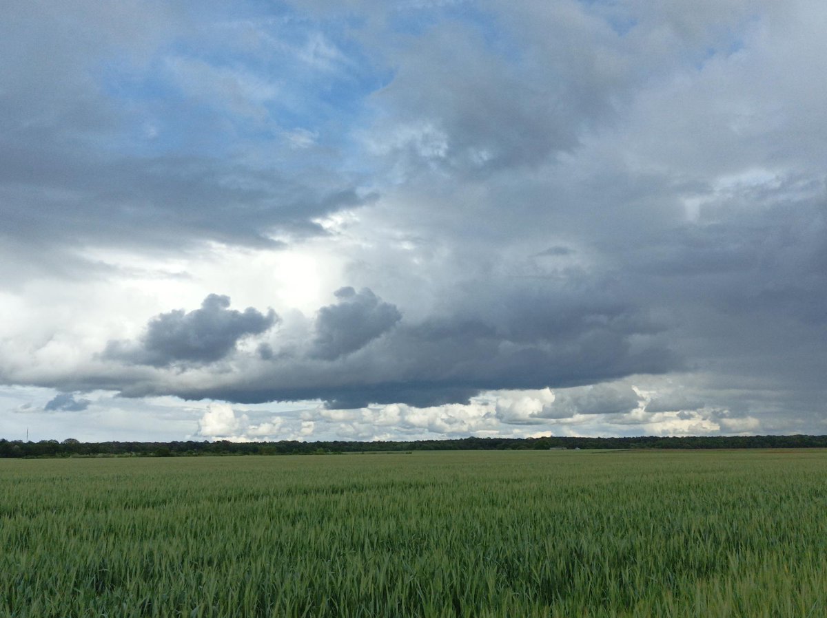 MeteoFrance_O's tweet photo. 🧐Vos #obsparticipatives sur l'appli. 📲illustrent l'instabilité de l'atmosphère:
➡️Ciel chaotique, ex. dans l'Indre-et-Loire (37),
📷 Civray de Touraine et Lussault-sur-Loire
➡️orages (et petite grêle) signalés par exemple à Jussy-Le-Chaudrier (18), à Clohars-Carnoët (29) https://t.co/KVbl7oBdQv