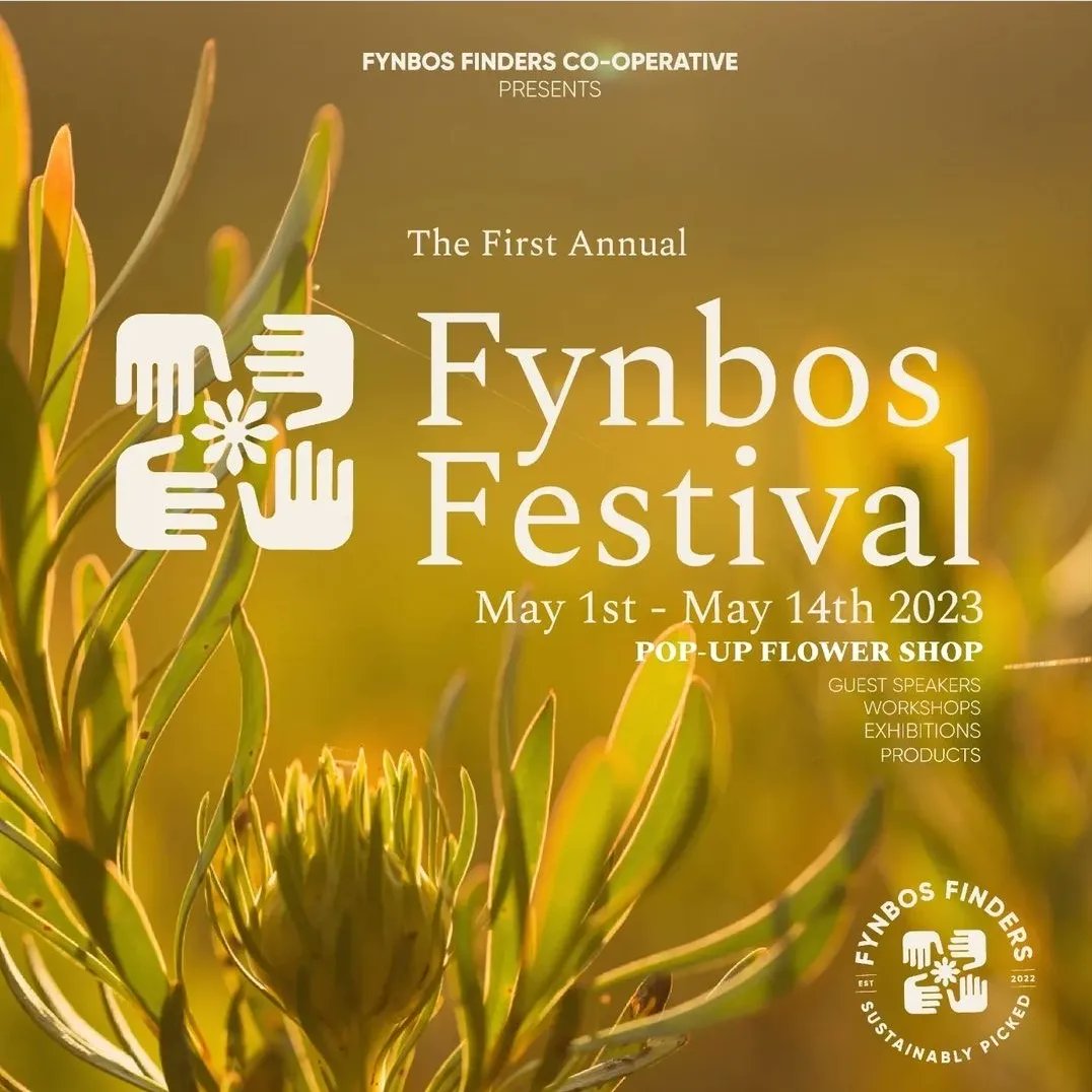 fomofridaysza's tweet photo. 🌷🌸⚘️🪻🏵🪷💐 #NewPost #FOMOFridays #JHB #gigguide ft. #fynbosfestival #movetozero #homieloverfriends #nike #onetheromanceofbeing #exhibition #katmogallery and more https://t.co/Ly7cuRqofn https://t.co/pZJI2bZSVx
