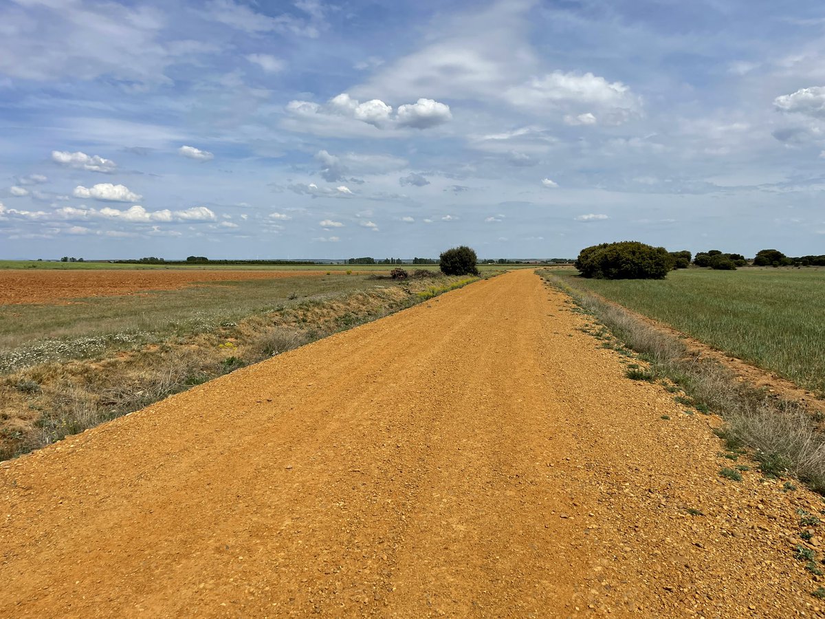 FlaglerFilms's tweet photo. Walking the Camino - Day 20
Terradillos de los Templarios to Bercianos del Real Camino, 27.7km  17.2 miles
.
#caminodesantiago #camino #day20 #camino2023 #visitcastillayleon #cylesvida #castillayleon #walkingvideo #walks #caminofrances #caminofrancés #buencamino #spain @visitcyl https://t.co/sgqIMzGPDj