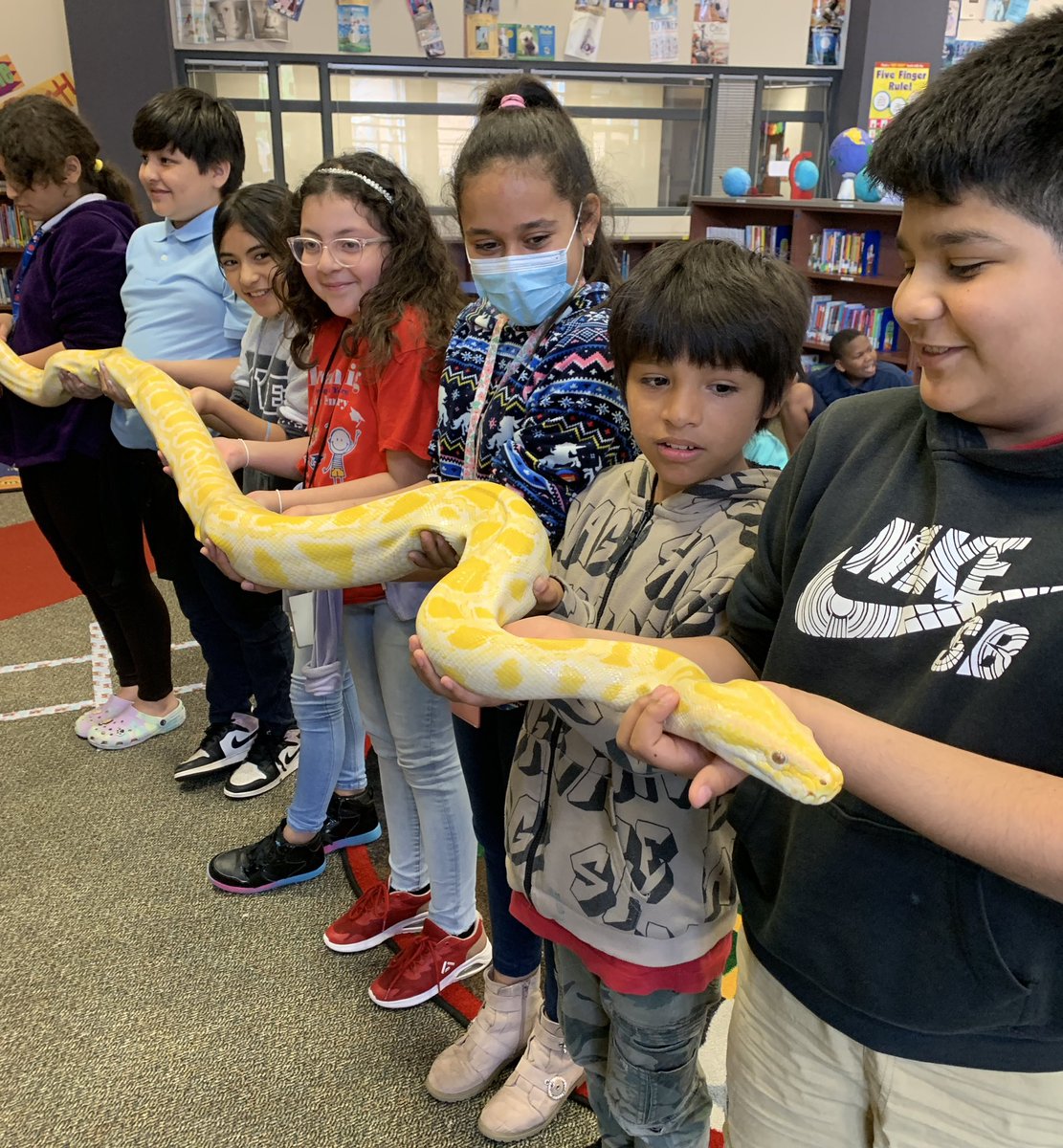 MsTyeArt's tweet photo. I know it’s technically for the kids, but this teacher feels appreciated! Thank you, @HornBeyondBooks and @TexasSnakes ! #HornDreamsBig https://t.co/o8yO6Kmqyx