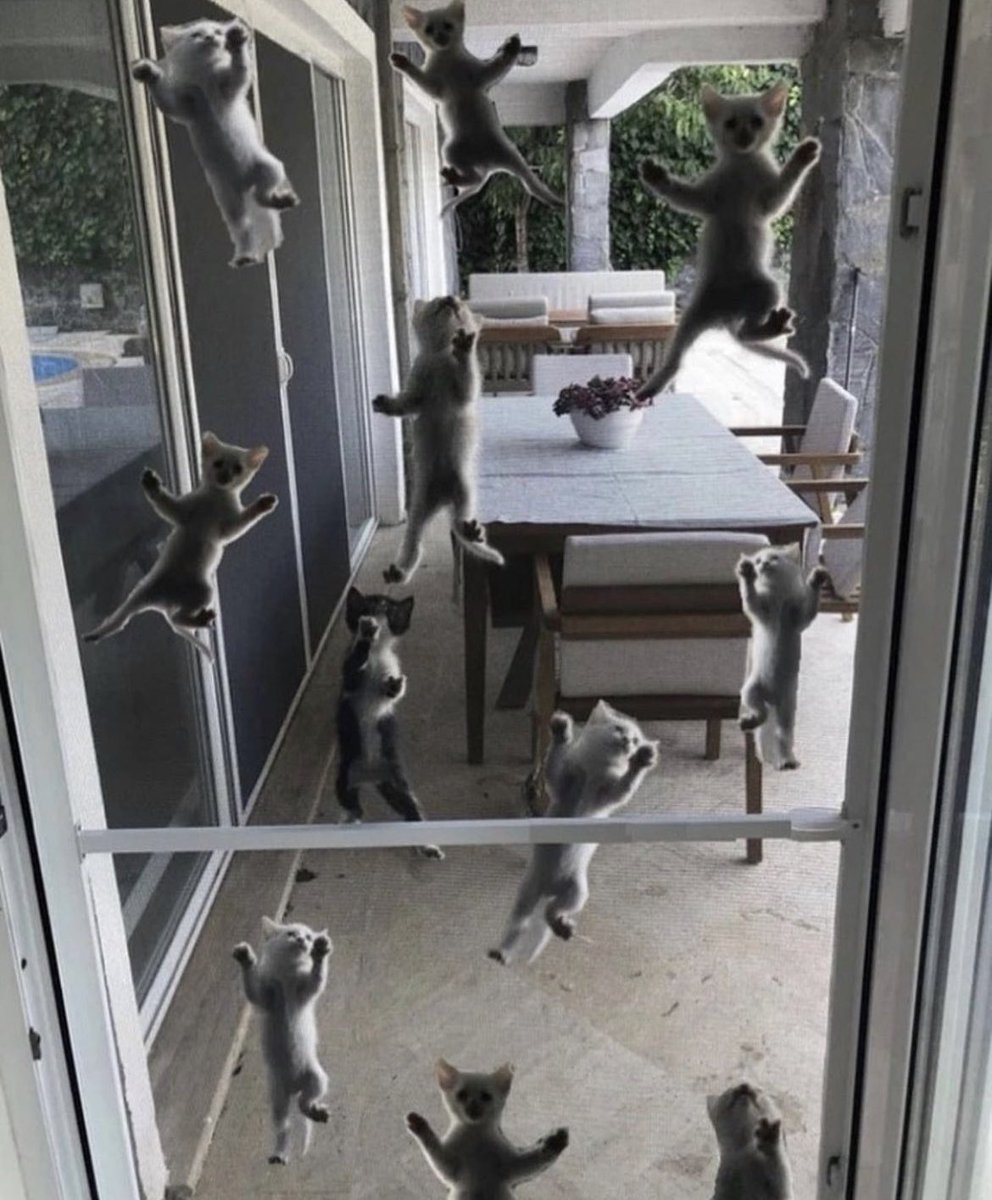 Taemin's apartment in a few years