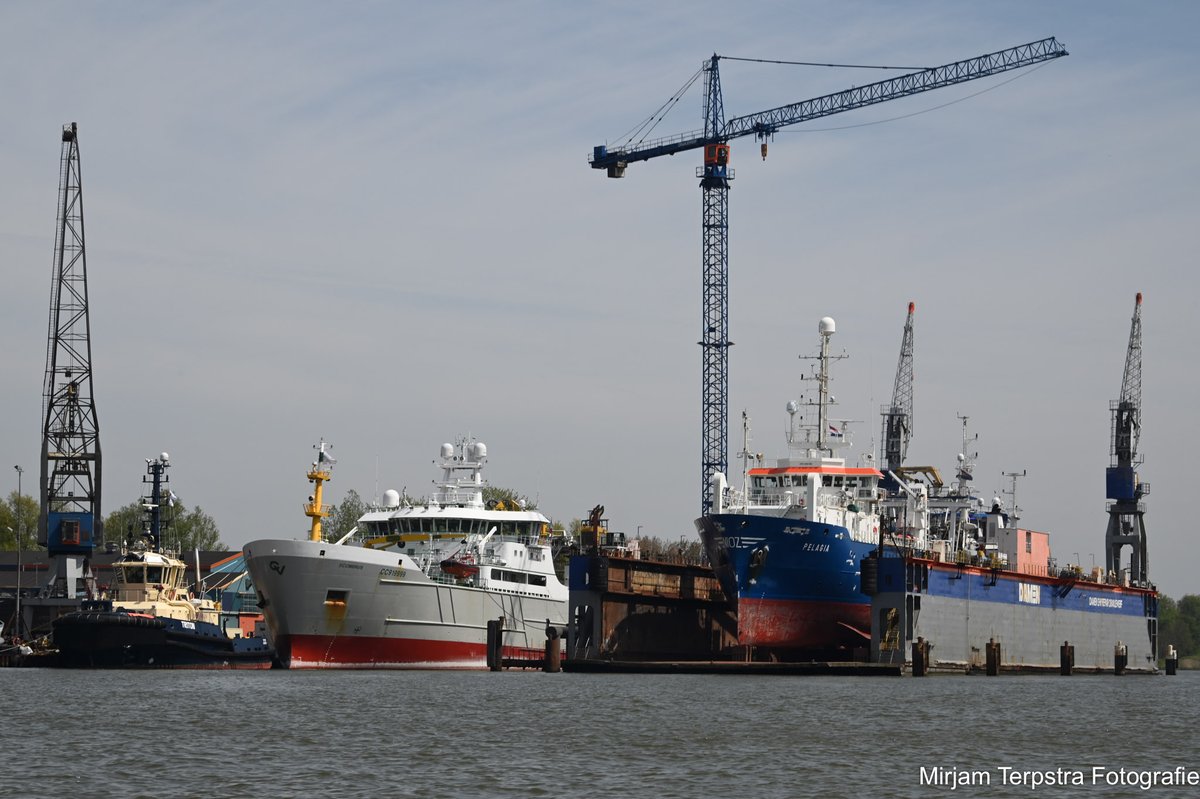 MirjamTerpstra1's tweet photo. #tug #Triton #research #ship #Pelagia and #trawler #Scombrus seen by @damen #Shiprepair #Oranjewerf in #Port of #Amsterdam #PortofAmsterdam #HavenAmsterdam #sailing #maritime #shipsinpics #ships #shipspotting #shipphotography #instashipping #humanatsea #seafarers #photography https://t.co/OTmHvjBS1Z