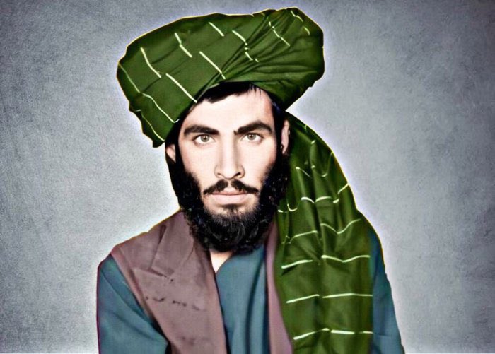 مشر مولا عمر ؟ ورور لری؟
معلومات ضرور غواړم مجاهیدینو وړوڼو