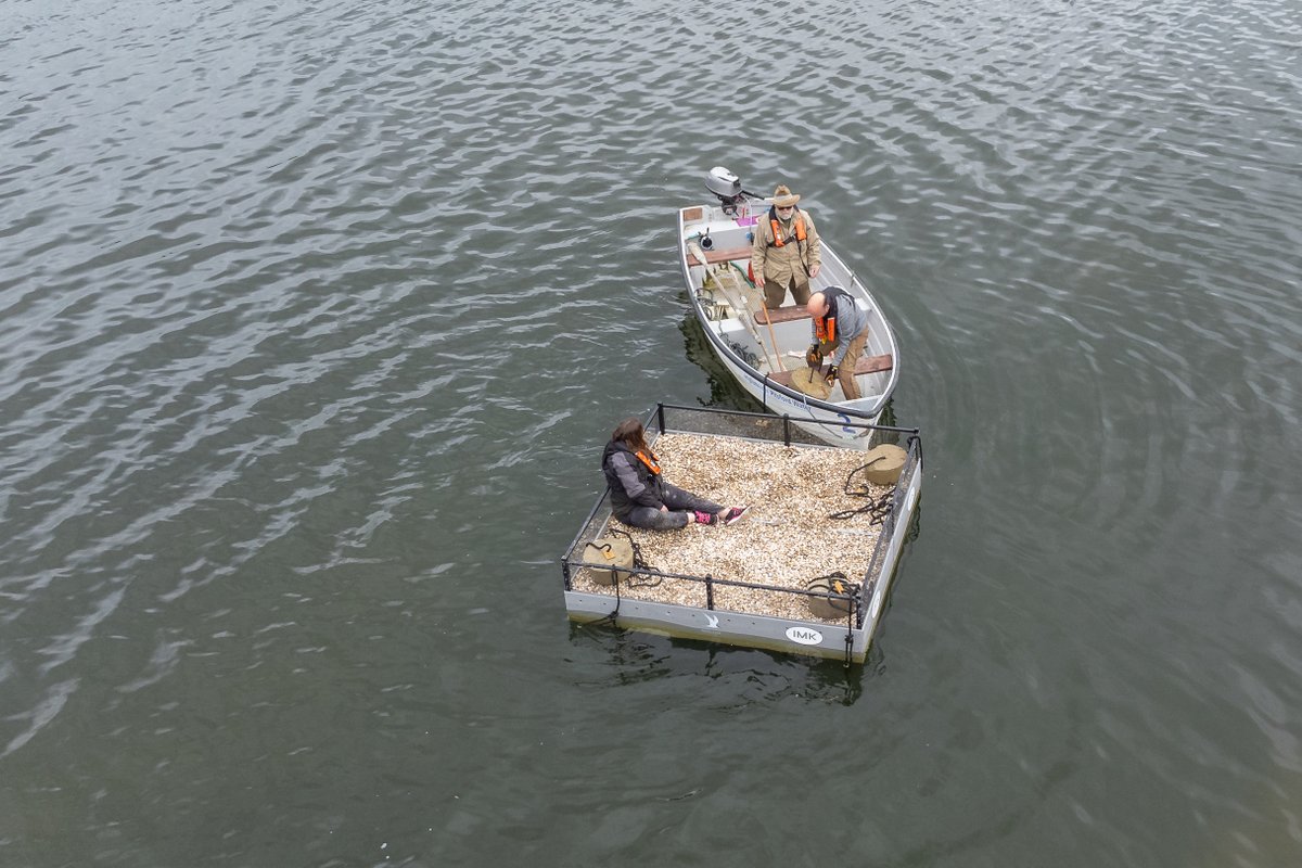 wildlifebcn's tweet photo. A big thank you to local firm @IMKellyRail for their sponsorship of a brand new tern raft which was launched at our Pitsford Reservoir Nature Reserve this week. This fantastic new floating nest site will help us to protect terns at this special reserve! https://t.co/qq90XUTH7y