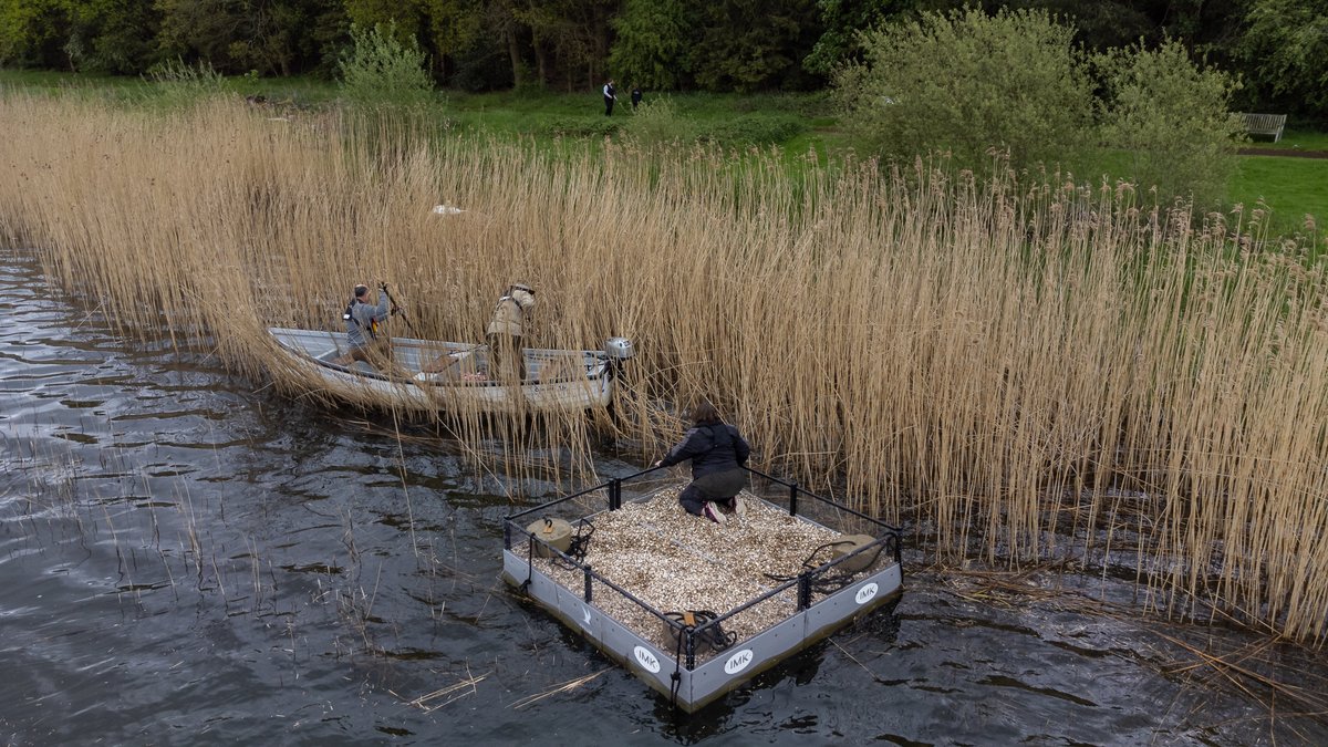 wildlifebcn's tweet photo. A big thank you to local firm @IMKellyRail for their sponsorship of a brand new tern raft which was launched at our Pitsford Reservoir Nature Reserve this week. This fantastic new floating nest site will help us to protect terns at this special reserve! https://t.co/qq90XUTH7y