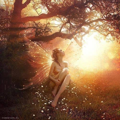RubyFaesRealm's tweet photo. May a little Faerie dust guide your way and brighten 
your day . . https://t.co/sLhi206EMm