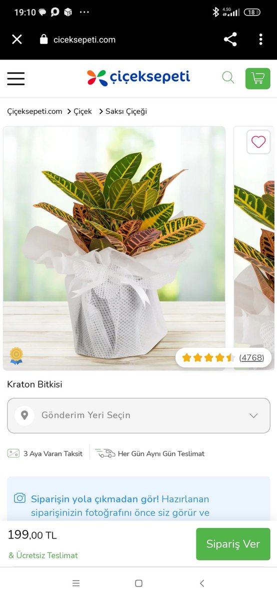 Gamze_sann's tweet photo. @ciceksepeti koyduğunuz fotoğrafa bi de gelen çiçeğe bakın!!! Resmen dolandırıcılık https://t.co/ckFkIqgsA4
