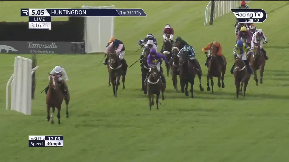 Racing TV on Twitter "👀 He's a trained a Prix De L'Arc de Triomphe winner . . . and now Sir