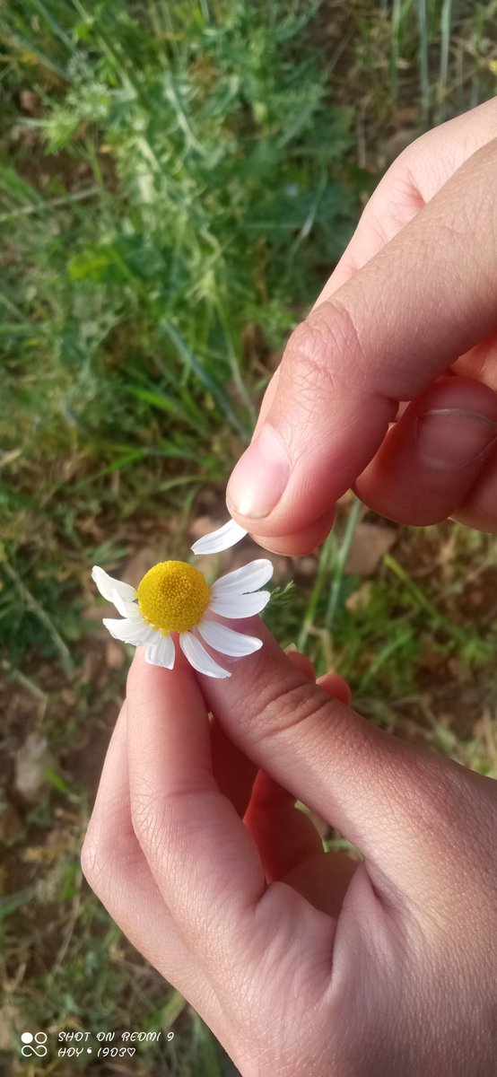 Arkadaşlar...seviyo çıktı 😶