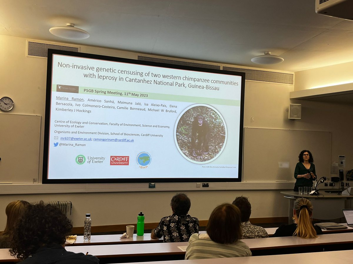 Happy to have shared preliminary results on non-invasive genetic censusing of western chimpanzees in Cantanhez NP, Guinea-Bissau at the #PSGB2023 <a href="/PrimateSociety/">PrimateSocietyGB</a> in <a href="/AngliaRuskin/">ARU</a> <a href="/UniExeCEC/">University of Exeter CEC</a> <a href="/MolEcolCU/">Molecular Ecology Cardiff University</a> <a href="/ibapgbissau/">Instituto da Biodiversidade e das Áreas Protegidas</a>