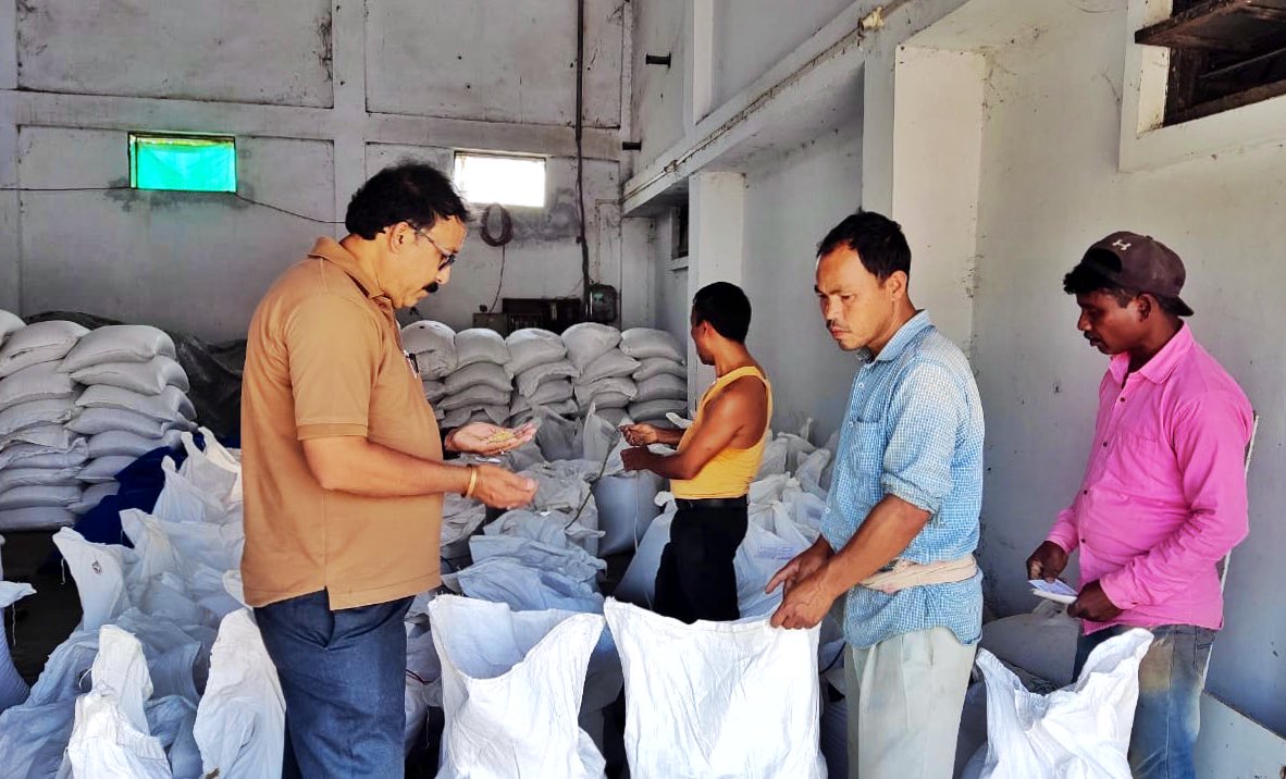 mowsamhazarika1's tweet photo. Paddy Seed Certification at AAU- ARRI, Titabor by Assam Seed and Organic Certification Agency (ASOCA).

Variety- Ranjit, Bakul Joha, Keteki Joha, Bahadur.

#FoundationSeed.

@ATULBORA2 
@AAU_Jorhat @agri_assam https://t.co/G7acGgVoLw