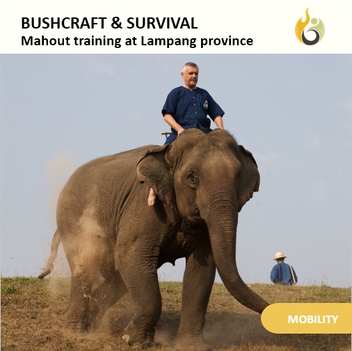 Bushguide101 tweet media