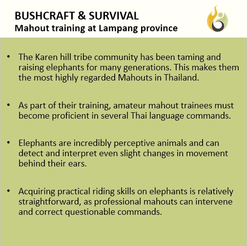 Bushguide101 tweet media