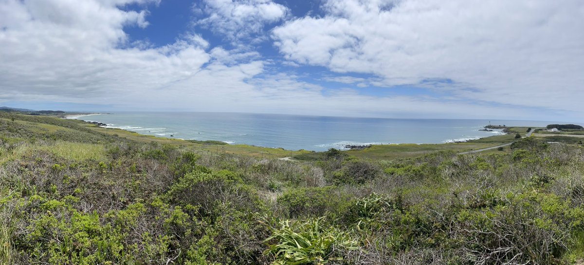 Wade Crowfoot tweet media