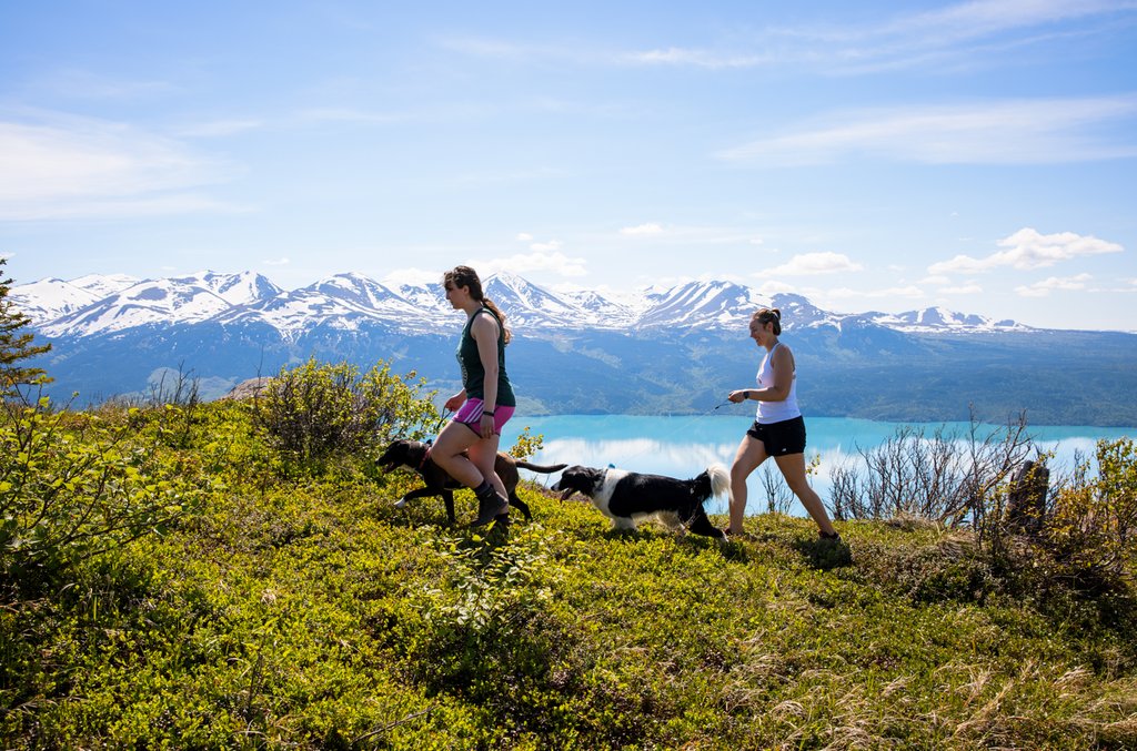 Visit Soldotna tweet media