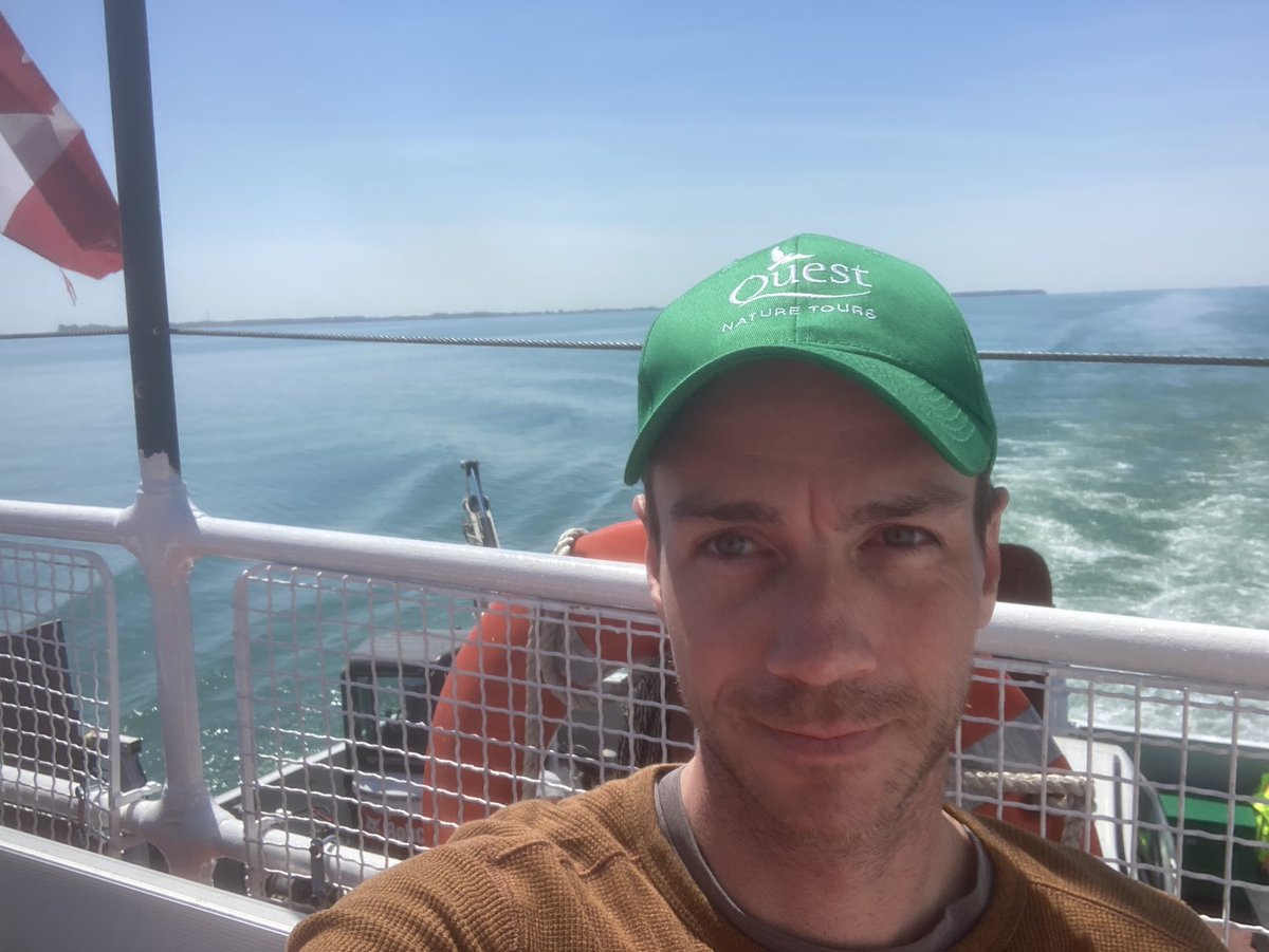 Kyle Horner tweet media