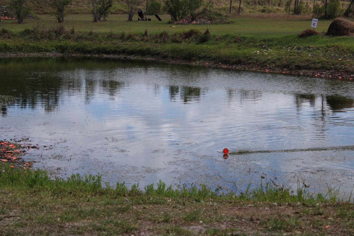 FishHawkClays's tweet photo. This weekend at Fishhawk! 💥

🥏 Friday, May 12th - Open Shooting all day!

🥏 Saturday, May 13th - Open Shooting all day!

🥏 Sunday, May 14th - CLOSED for Mother's Day!

See y'all on the range this weekend! 🤠 https://t.co/cFHyo8ZJbI