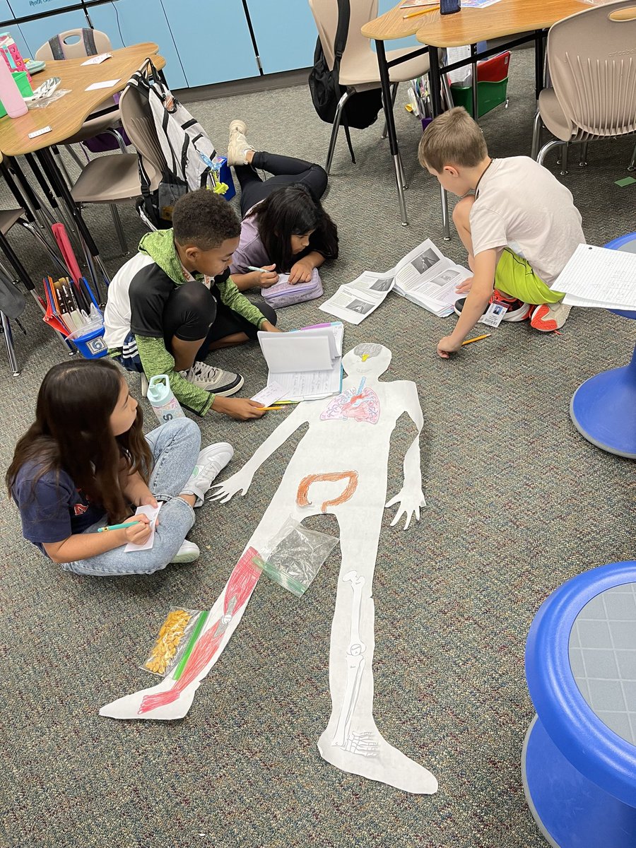 Angie Chae tweet media