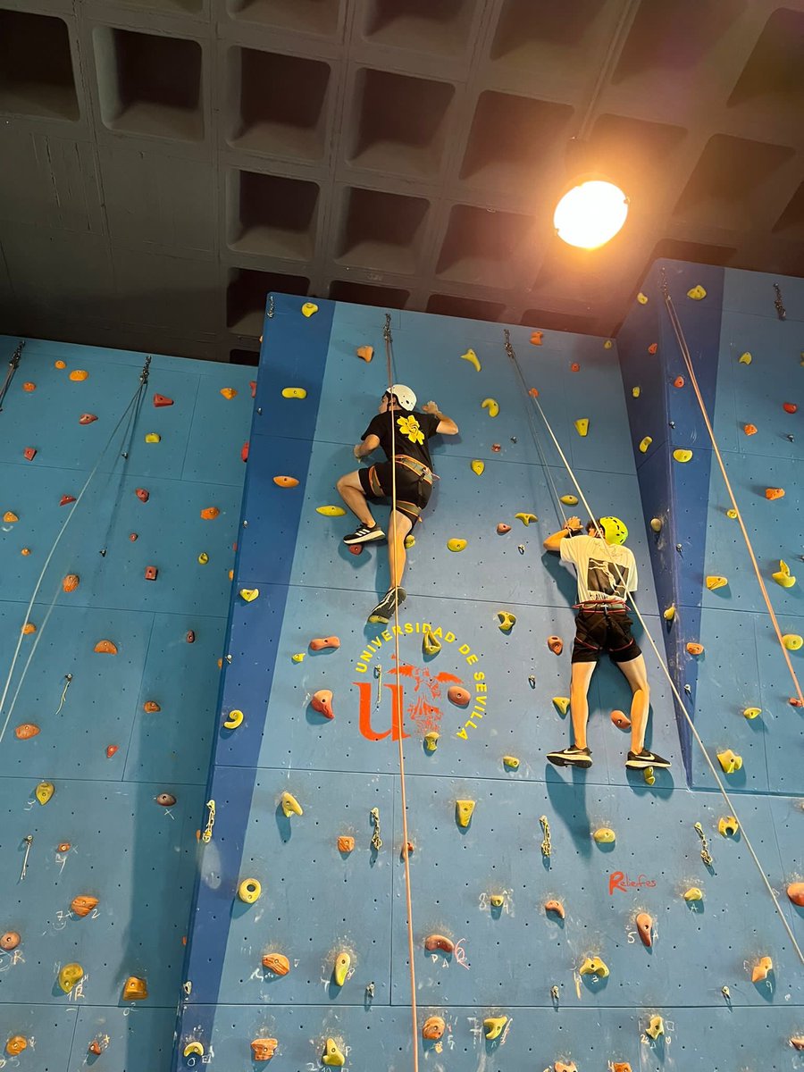 iescantillana's tweet photo. Hoy, el alumnado de 1ºBachillerato ha asistido a la UE y ha participado en el “Día del deporte” organizado por alumnos del grado de Ciencias de la Actividad Física y del Deporte. Han conocido las características de este grado y sus salidas profesionales. #EducaciónFísicaesSalud💪 https://t.co/MWbWO54lwp