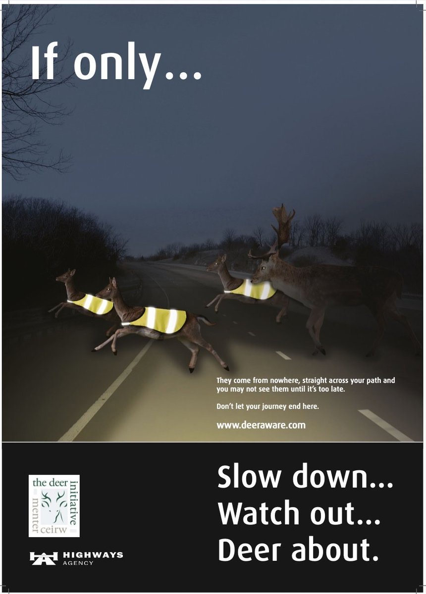 Inverlodgehotel's tweet photo. When you drive through the Scottish Highlands at dusk or night, dodging our ninja deer is an adrenaline rush! These majestic creatures have a tendency to pop up out of nowhere, and colliding with them can cause some serious damage. Drive safe and we look forward to welcoming you. https://t.co/0Vbj9X9ELH