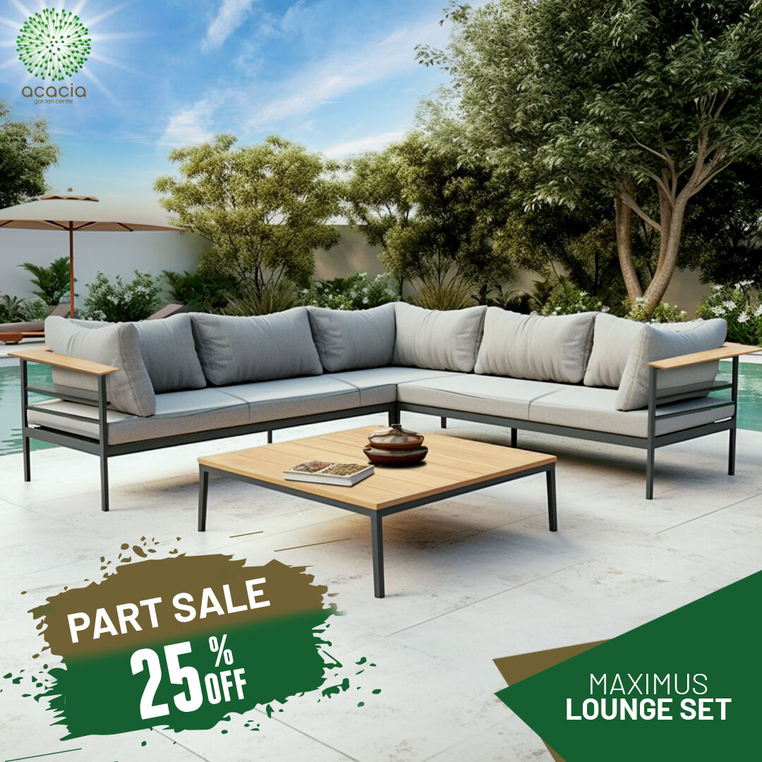 AcaciaGardenCen's tweet image. Create your ultimate outdoor oasis with our Maximus Lounge Set!
Enjoy 25% off during our part sale. 

Relax in style and comfort this summer. Limited time offer. 

Visit Acacia Garden Center today! 

bit.ly/3O2ox7s

#partsale #acaciagardencenter #furniture #outdoorliving