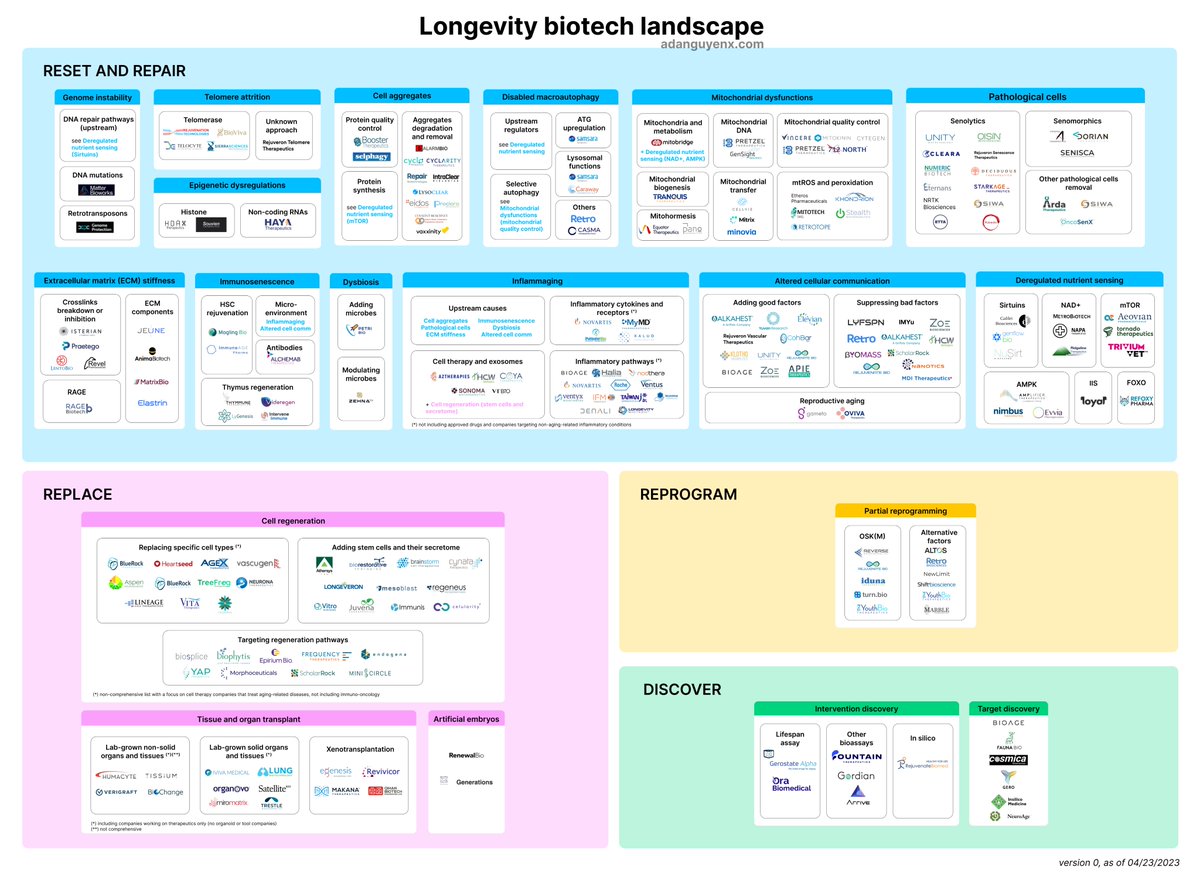 adanguyenx's tweet image. Introducing: The Longevity Biotech Landscape.

An overview of all different scientific approaches as well as unexplored strategies in the field.

adanguyenx.com/longevity