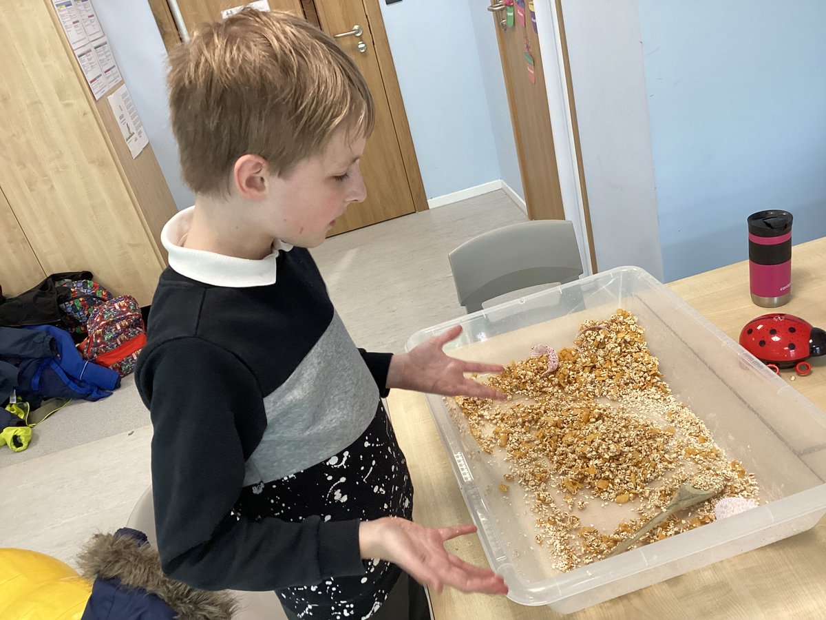 BridgeEaston's tweet photo. Holly class have been practising mixing and getting used to new foods, using cooking sensory trays. https://t.co/0Ehxxfhai1
