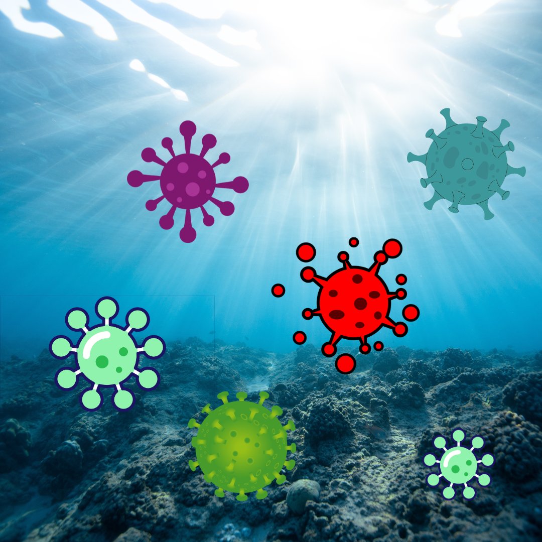 Pint of Science Norway tweet media