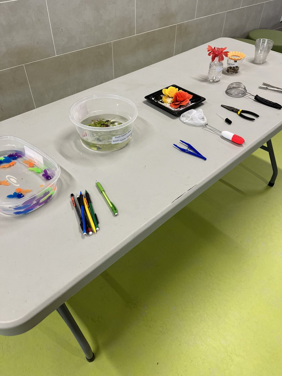 Megan Self (@mhself34) on Twitter photo Learning about bird beaks and why they have certain adaptations! Thanks Denton County Master Naturalists! #4thgrade #scientists #birdbeaks #naturalists <a href="/LanceElementary/">Lance Thompson Elementary (NISD)</a> <a href="/NorthwestISD/">Northwest ISD</a> Learning about bird beaks and why they have certain adaptations! Thanks Denton County Master Naturalists! #4thgrade #scientists #birdbeaks #naturalists <a href="/LanceElementary/">Lance Thompson Elementary (NISD)</a> <a href="/NorthwestISD/">Northwest ISD</a>