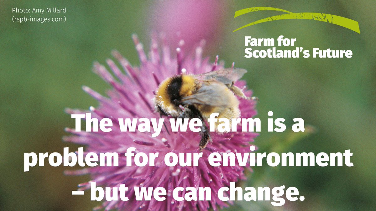 Between 1994-2016, 49% of Scotland’s species decreased. We are in a nature crisis, and current farming practices contribute to wildlife loss.
The New #FarmForScotlandsFuture report details how the #AgricultureBill can help farming and nature work together: ow.ly/EQYU50Olm6w