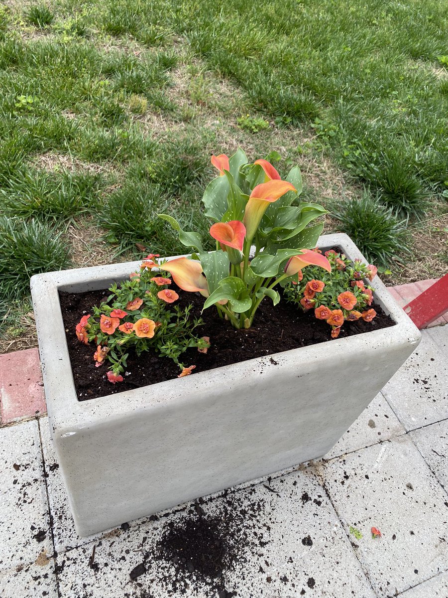 Meredith Fevold tweet media