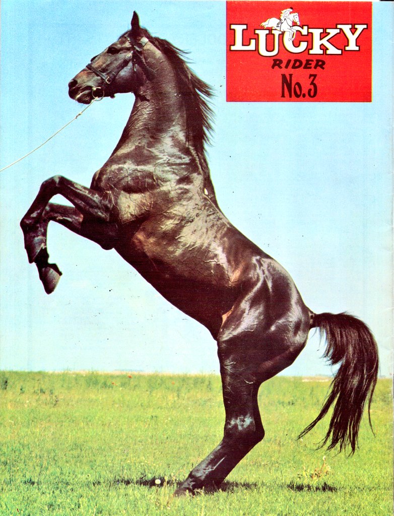 Graeme Wood on Twitter "RT woodg31 From May 1973 LUCKY RIDER