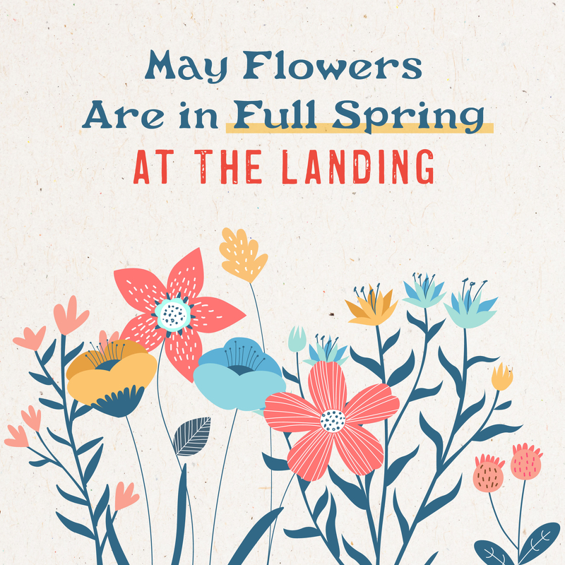 LacledesLanding's tweet image. Spring has sprung, and May flowers are here to stay!

Come visit Laclede’s Landing and see how Planning Design Studio has transformed areas like historic Third Street into a beautiful plaza. Learn more:bit.ly/3HvPyfo

#lacledeslanding #spring #exploreSTL