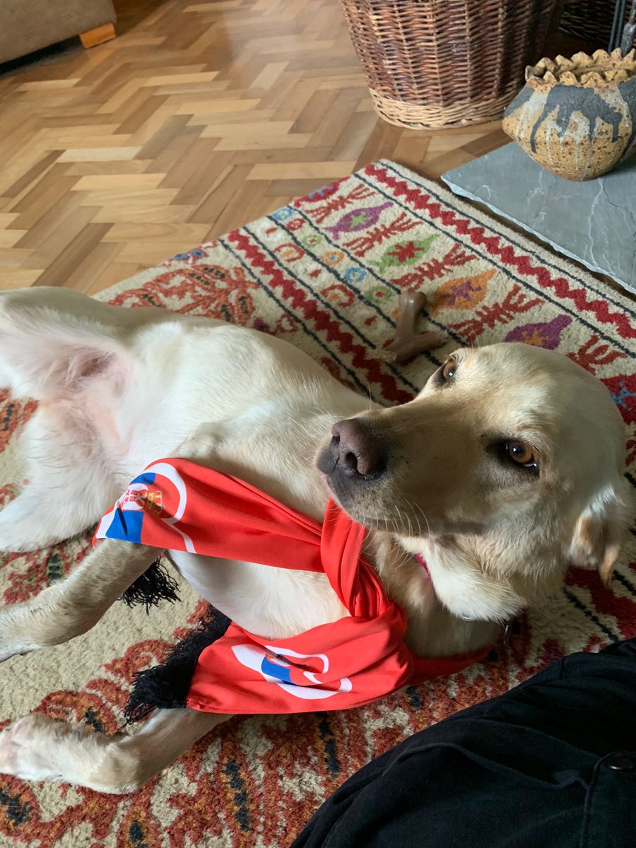 Stevedunk47's tweet photo. @lukeblackmusic @ShurkOfficial Ozzy No1 Serbia Fan 🤘🤘🤘🤘 https://t.co/XUqrSXEALR