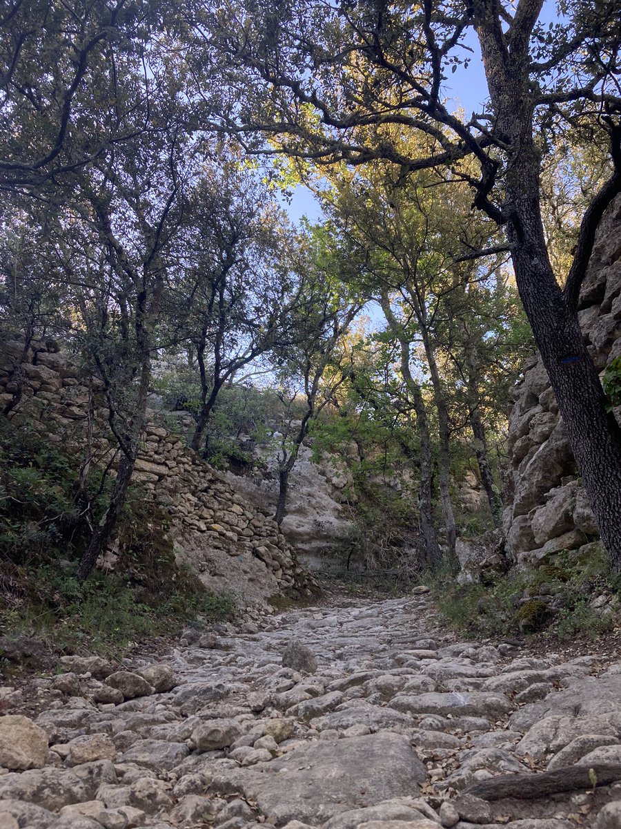 laurent_callens's tweet photo. Test des nouvelles Hoka Speedgoat 5. Elles courent beaucoup plus vite que mes jambes 🦵 !!! 😀🤣
Y’a pire comme terrain d’entraînement autour du village perché du Beaucet .
Oui celui du Vaucluse, face au Ventoux !
#trail #hoka #hokaoneone #speedgoat5 #suunto #ventoux https://t.co/d42PSciY74