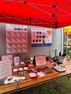 JuanesLab's tweet photo. So excited to have attended the Salmon Never Sleeps Festival at Fanny Bay! Over 650 people attended the festival and learned about many things including salmon diets, hatchery-reared Coho, and @fishsoundsweb from the wonderful @JuanesLab staff! https://t.co/fsotJ72ho0
