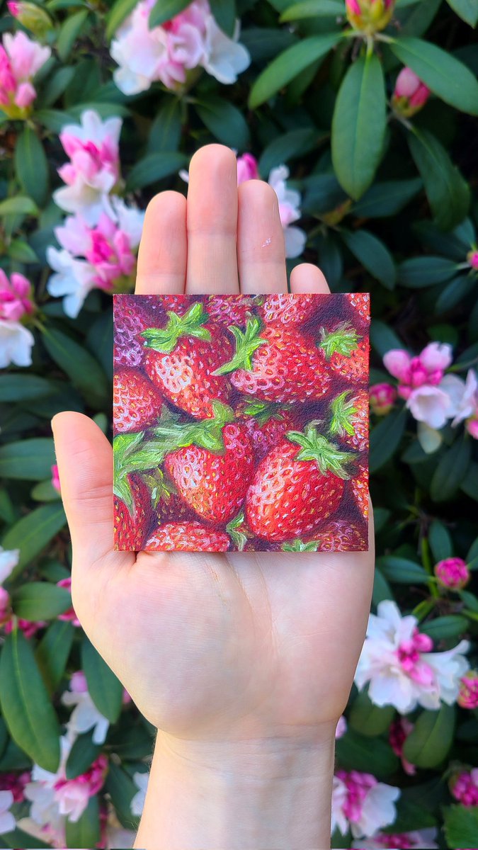 Here's the finished mini strawberry oil painting I finished the other day. 🍓

#strawberries #gardening #strawberrypainting #artist #dailyart #oilpainting #painting #bcartist #vancouverisland #canadianartist #oilpaintingart #art #artist