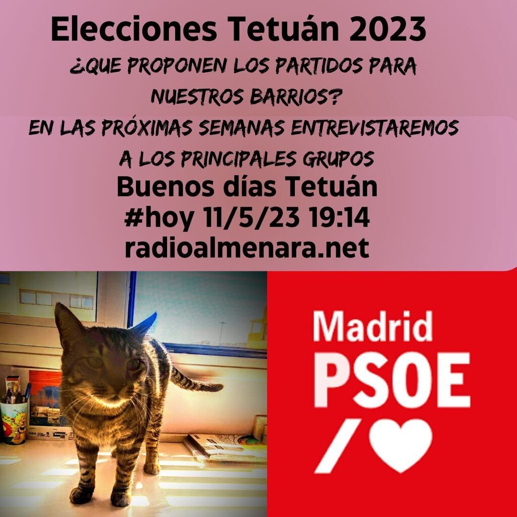 #Tetuán ift.tt/Eyexf2H