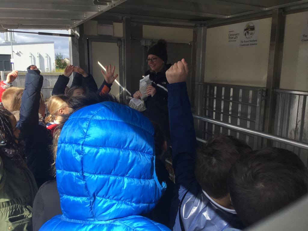 TurriffPrimary's tweet photo. P3 enjoyed a visit from @RNCI1 
The Country Classroom on Wheels to end their Farming topic. They bought 2 lambs for the children to pet. The van was packed full of interesting items for the children to touch and hold. #Scottishfarming #CCOW #spring https://t.co/Lqi74m2snm