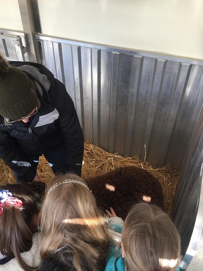 TurriffPrimary's tweet photo. P3 enjoyed a visit from @RNCI1 
The Country Classroom on Wheels to end their Farming topic. They bought 2 lambs for the children to pet. The van was packed full of interesting items for the children to touch and hold. #Scottishfarming #CCOW #spring https://t.co/Lqi74m2snm