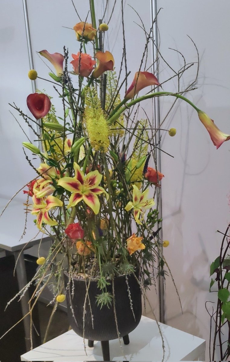 Floristien kultaa Taitaja2023 kilpailussa JAMIn Virpi Korkeasaarelle. Lämpimät onnittelut Virpille sekä valmentajana toimineelle Säde Alaselle!