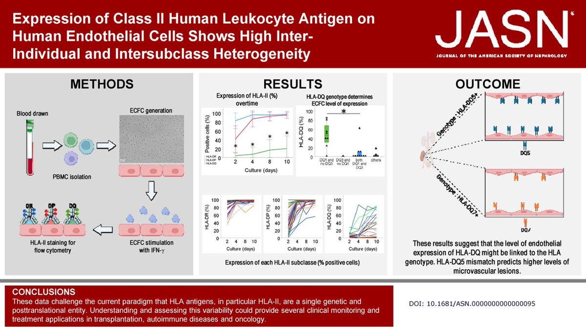 JASN_News (@jasn_news) on Twitter photo HLA antigens are important targets of alloantibodies and allospecific T cells involved in graft rejection. This study suggests that the expression of HLA class II is predicted by locus bit.ly/JASN095
<a href="/AstridWeins/">Astrid Weins</a> <a href="/jazziup/">Jamil R. Azzi MD, PhD</a> <a href="/BWHPath/">Brigham and Women's Pathology</a> @BWHKidney HLA antigens are important targets of alloantibodies and allospecific T cells involved in graft rejection. This study suggests that the expression of HLA class II is predicted by locus bit.ly/JASN095
<a href="/AstridWeins/">Astrid Weins</a> <a href="/jazziup/">Jamil R. Azzi MD, PhD</a> <a href="/BWHPath/">Brigham and Women's Pathology</a> @BWHKidney