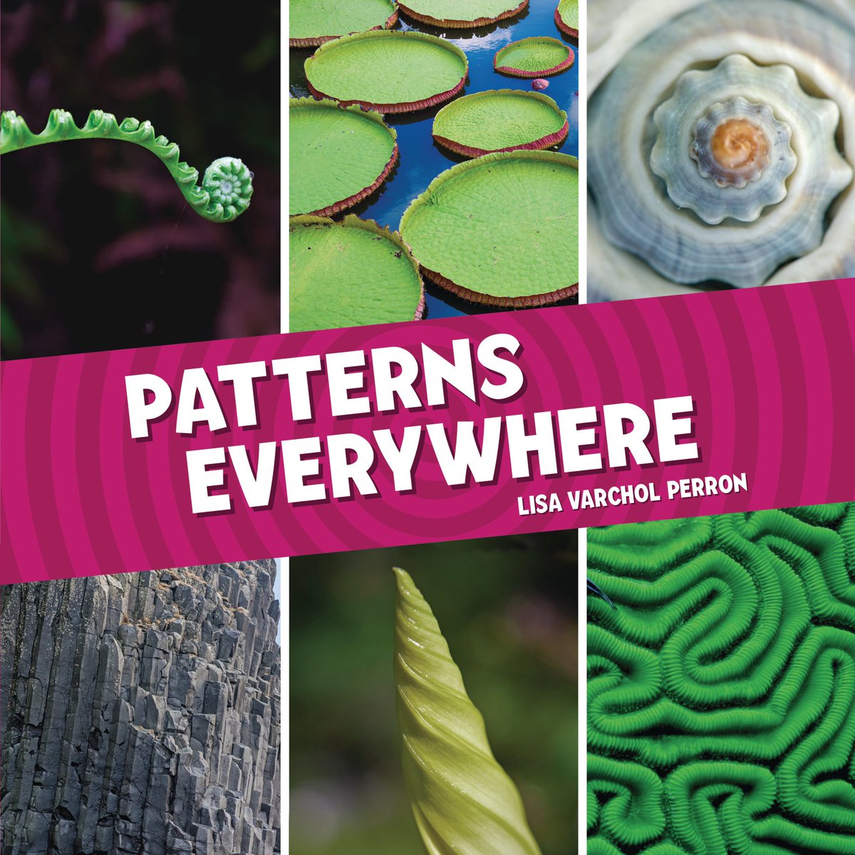 In honor of #TeacherAppreciationWeek, I’m giving away two signed copies of PATTERNS EVERYWHERE! If you’re a teacher or work in another capacity at a school, just comment here by 5/14 to enter! #bookgiveaway @LernerBooks